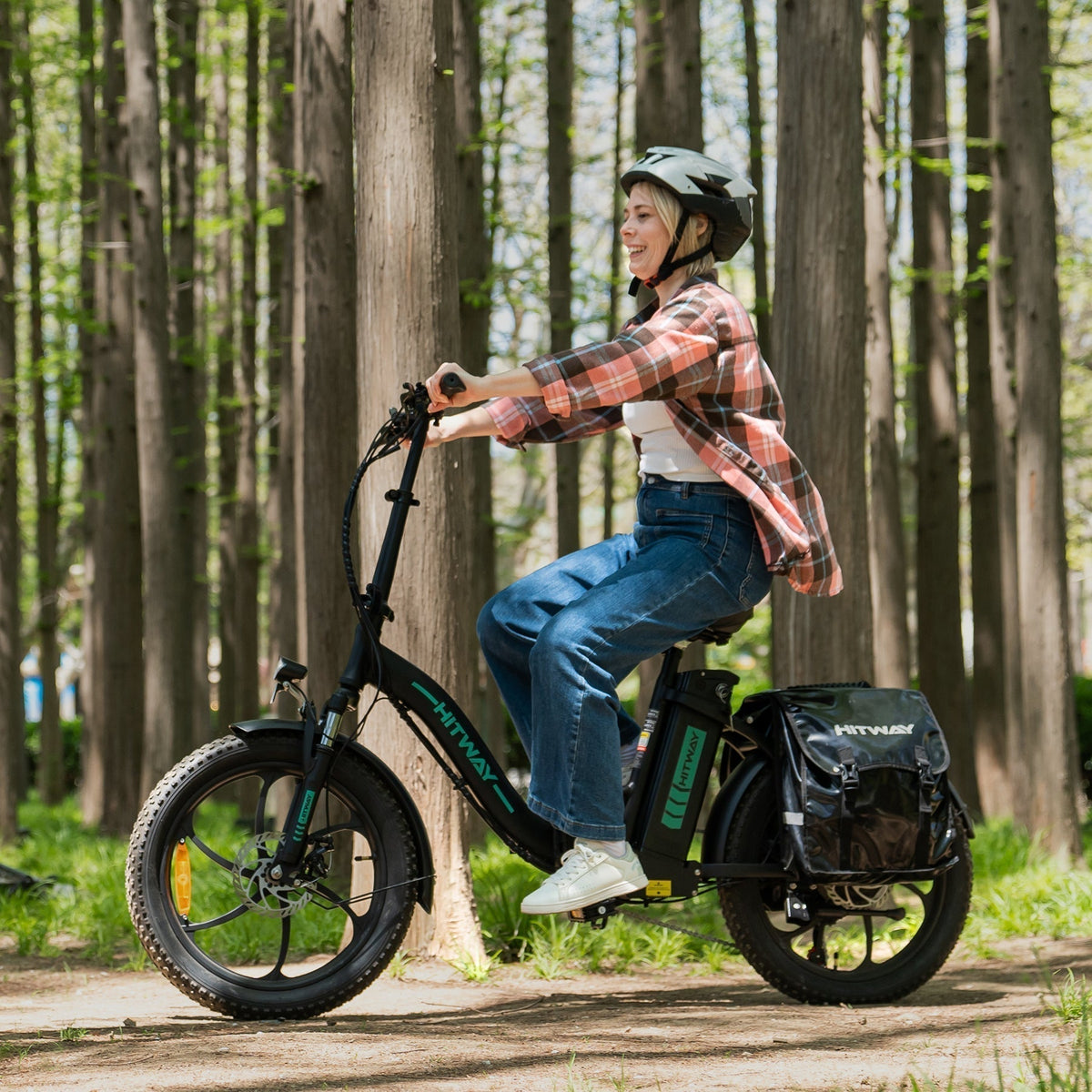 BK6S Folding Electric Bike