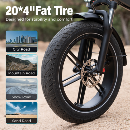 BK10S PRO Folding Electric Bike