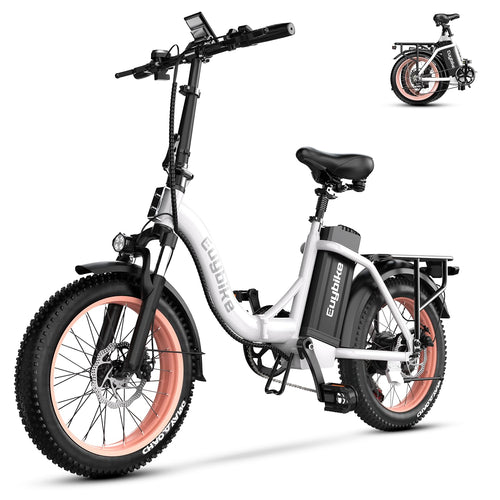 Folding Electric Bike for Adults with 1000W Peak Motor, 48V 20AH Battery up to 80 Miles, 20" Fat Tire All Terrain Ebike