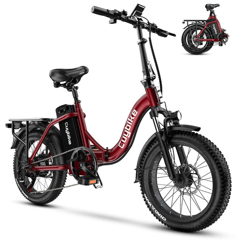 Folding Electric Bike for Adults with Peak 1000W Motor, 48V 20AH Battery up to 80 Miles, 20" Fat Tire All Terrain Ebike