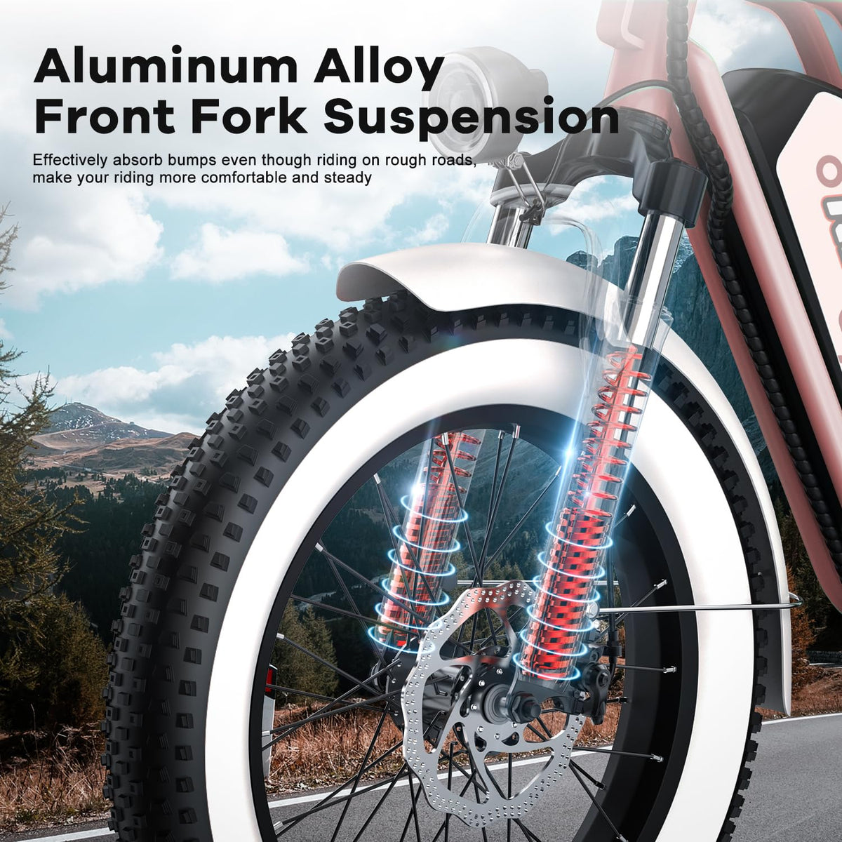 Electric Bike for Adults, 20"x 4" Fat Tire Ebike, 1450W Peak Bike with 48V 20AH Removable Battery
