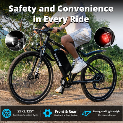 BK15PL 29 inch Electric Bike