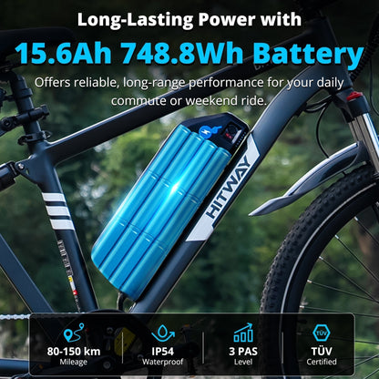 BK15PL 29 inch Electric Bike