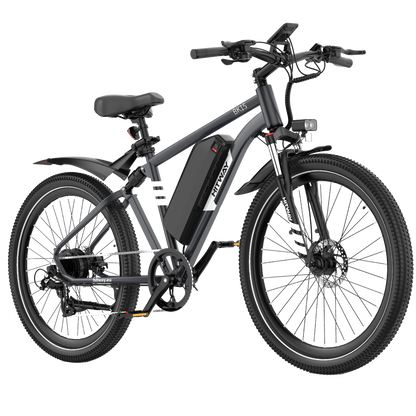 BK15PL 29 inch Electric Bike