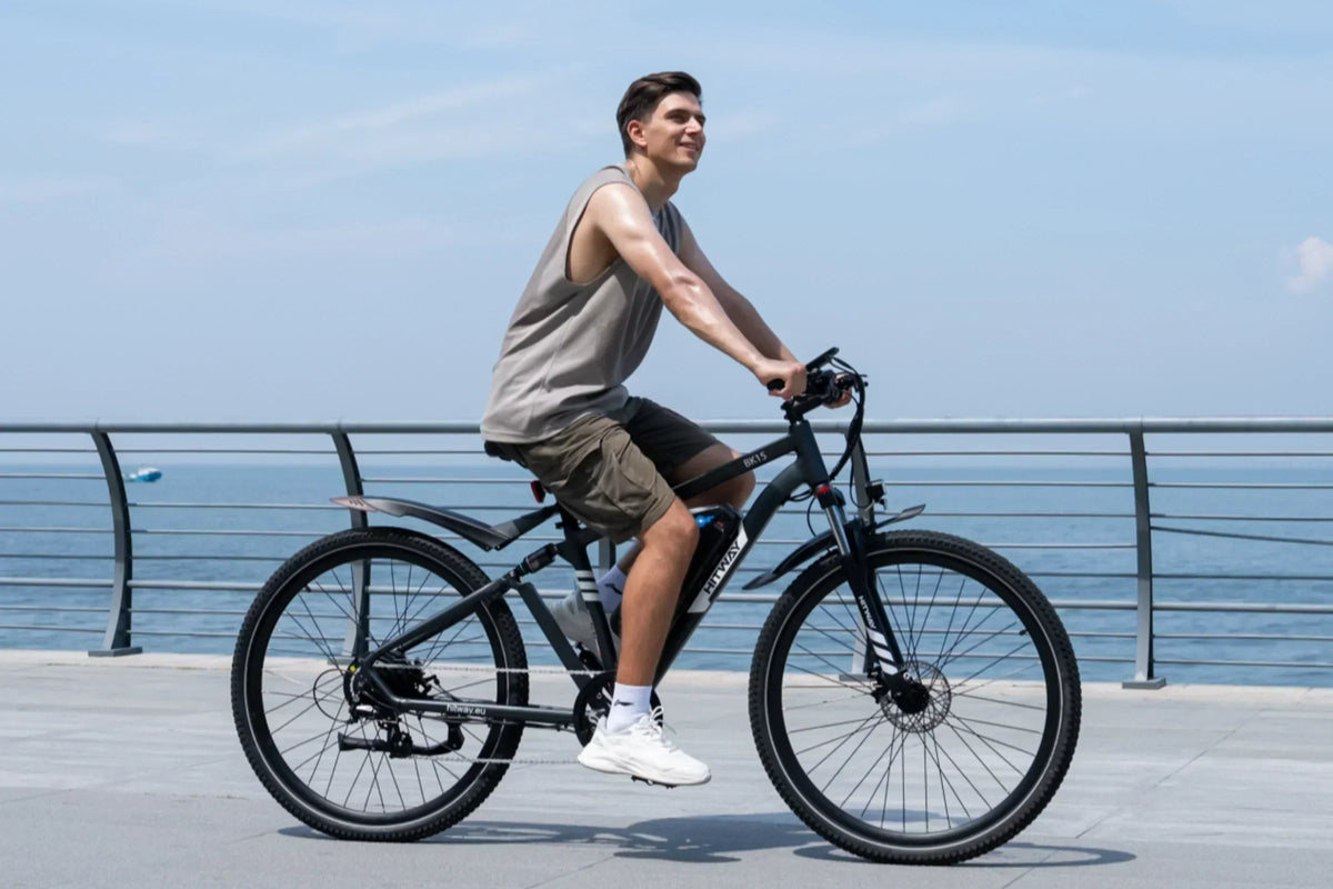 BK15PL 29 inch Electric Bike