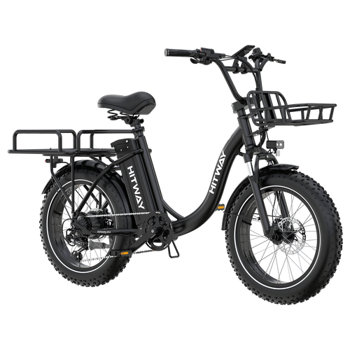 BK6S Plus Cargo Electric Bike