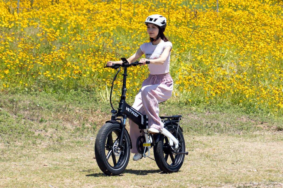 BK10S Folding Electric Bike